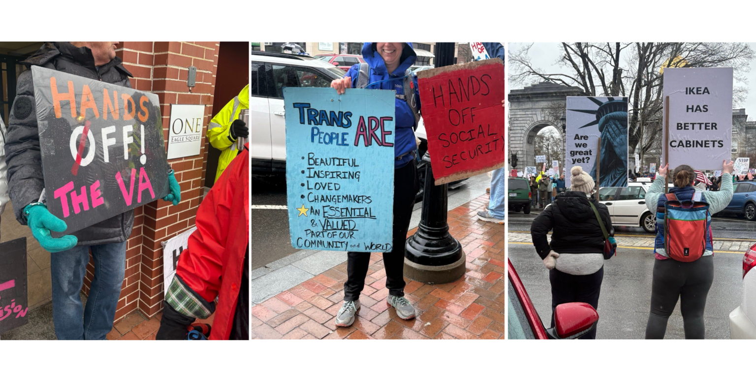 Hands Off Protests 2025: Stories From Across the Divide - Electronic ...